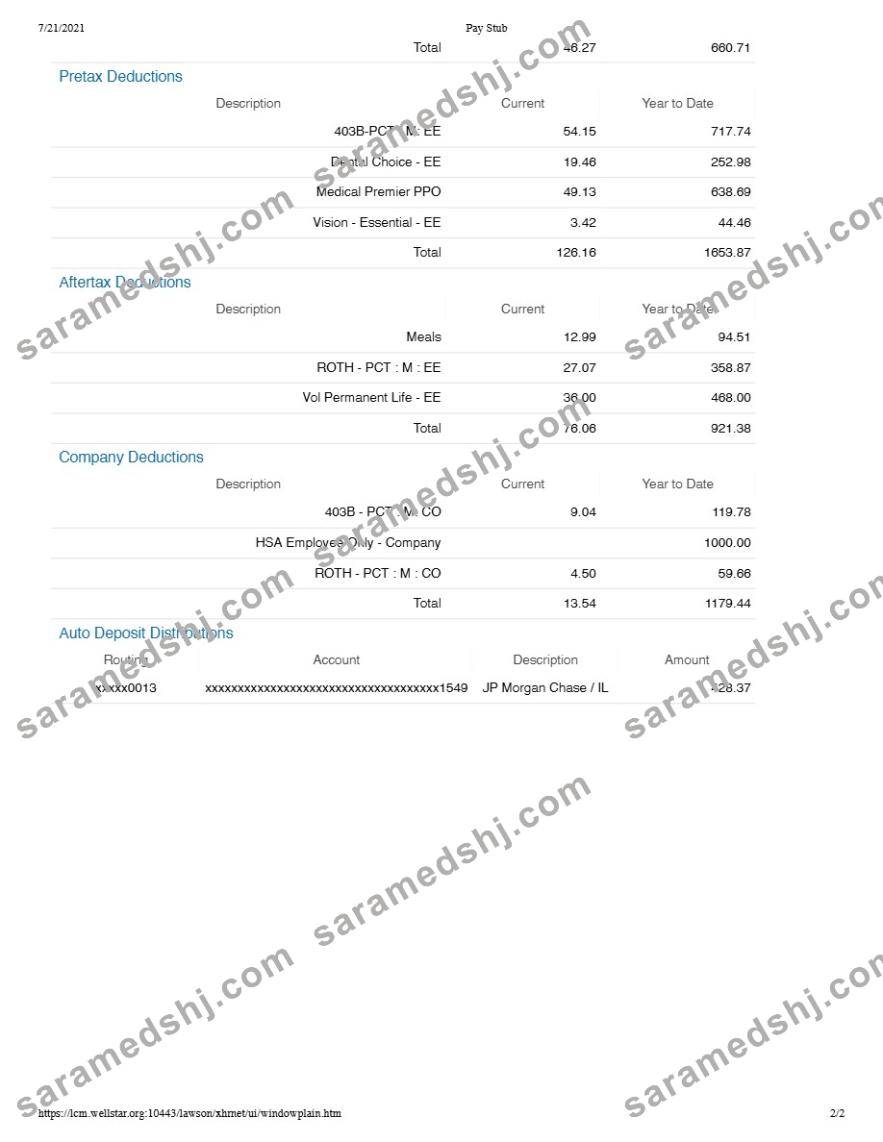 WELLSTAR HEALTH SYSTEM pay stub template in Word and PDF formats.pdf, 2